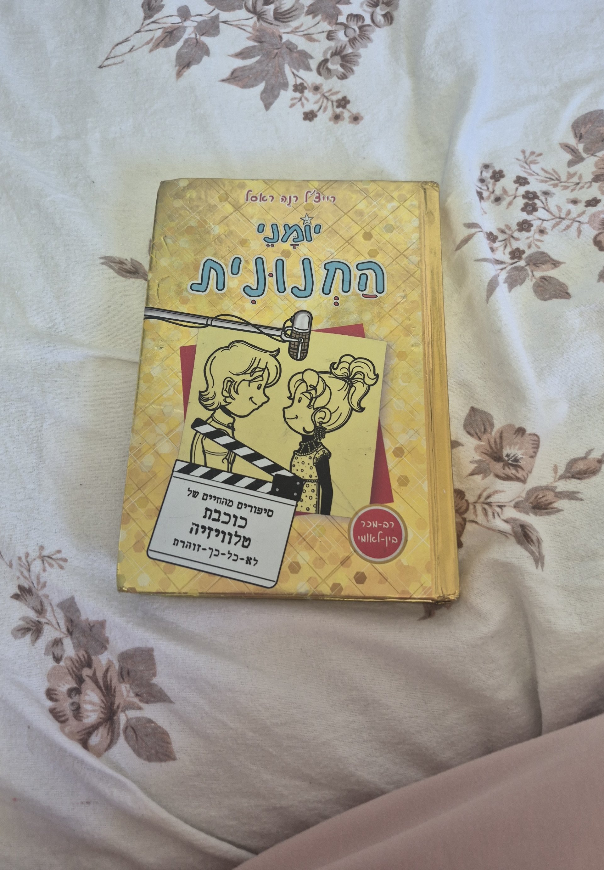 היומן של ג'ודי: התוכנית