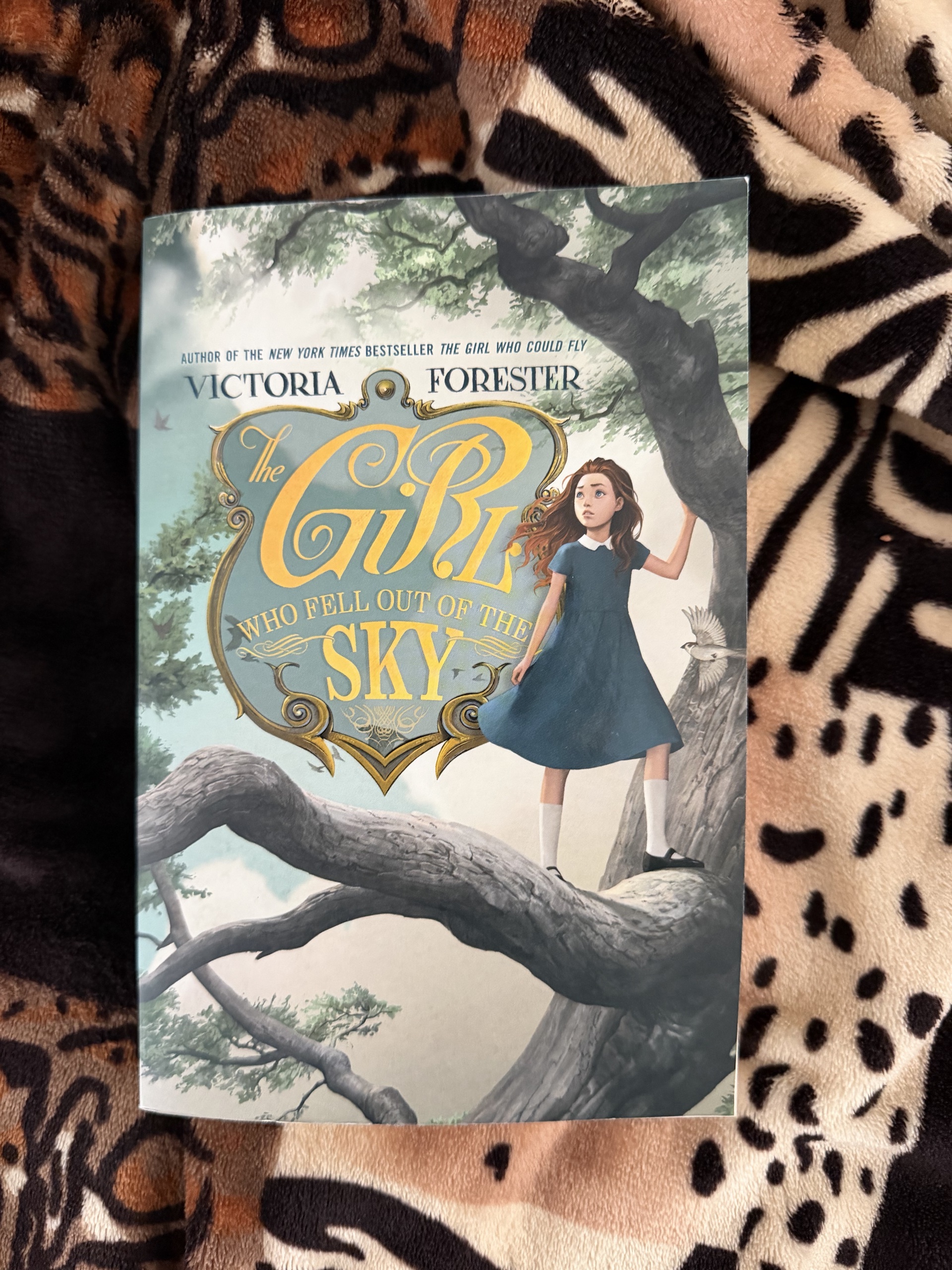 The Girl Who Fell Out of the Sky