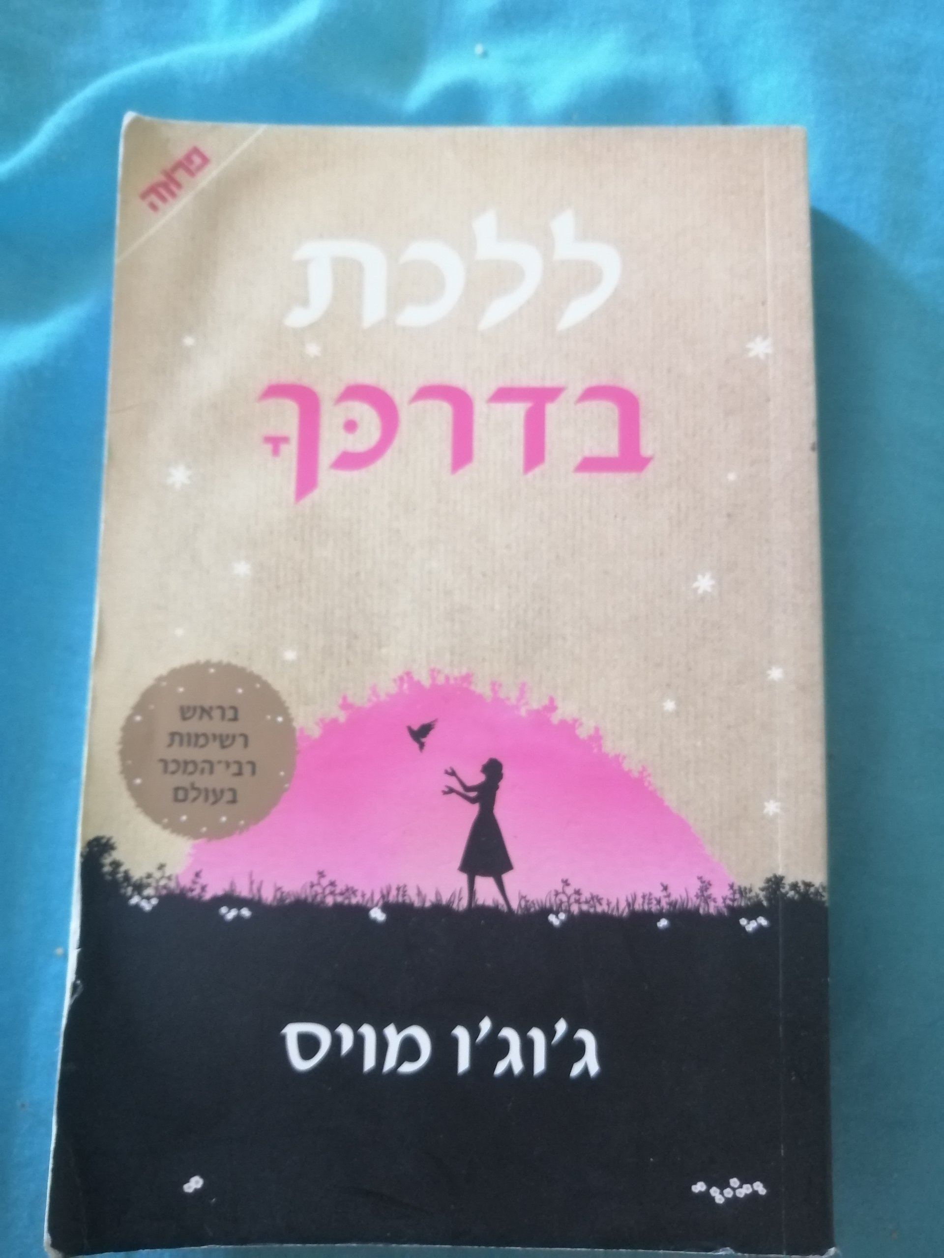 ללכת בדרכך