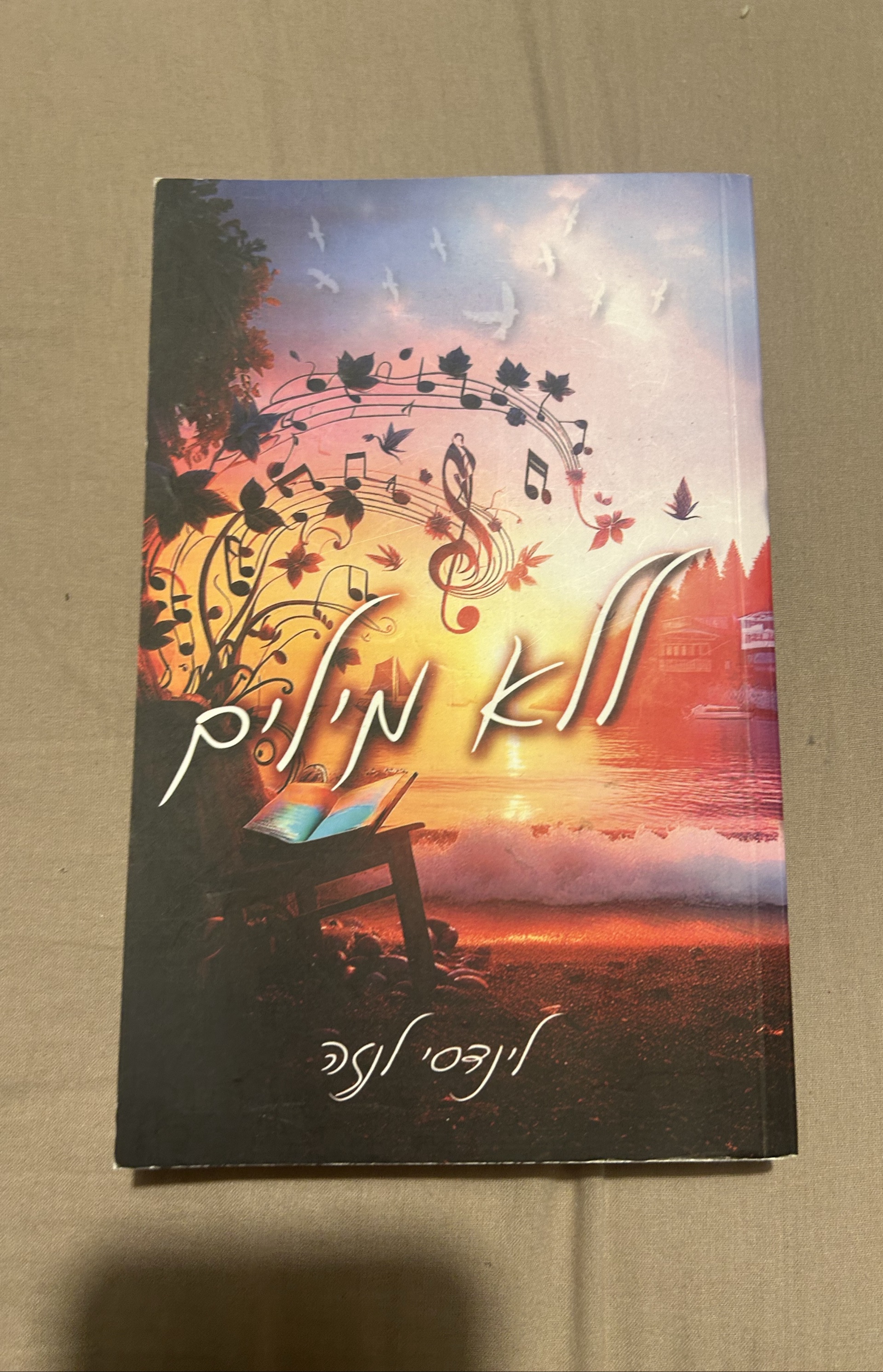 ללא מילים