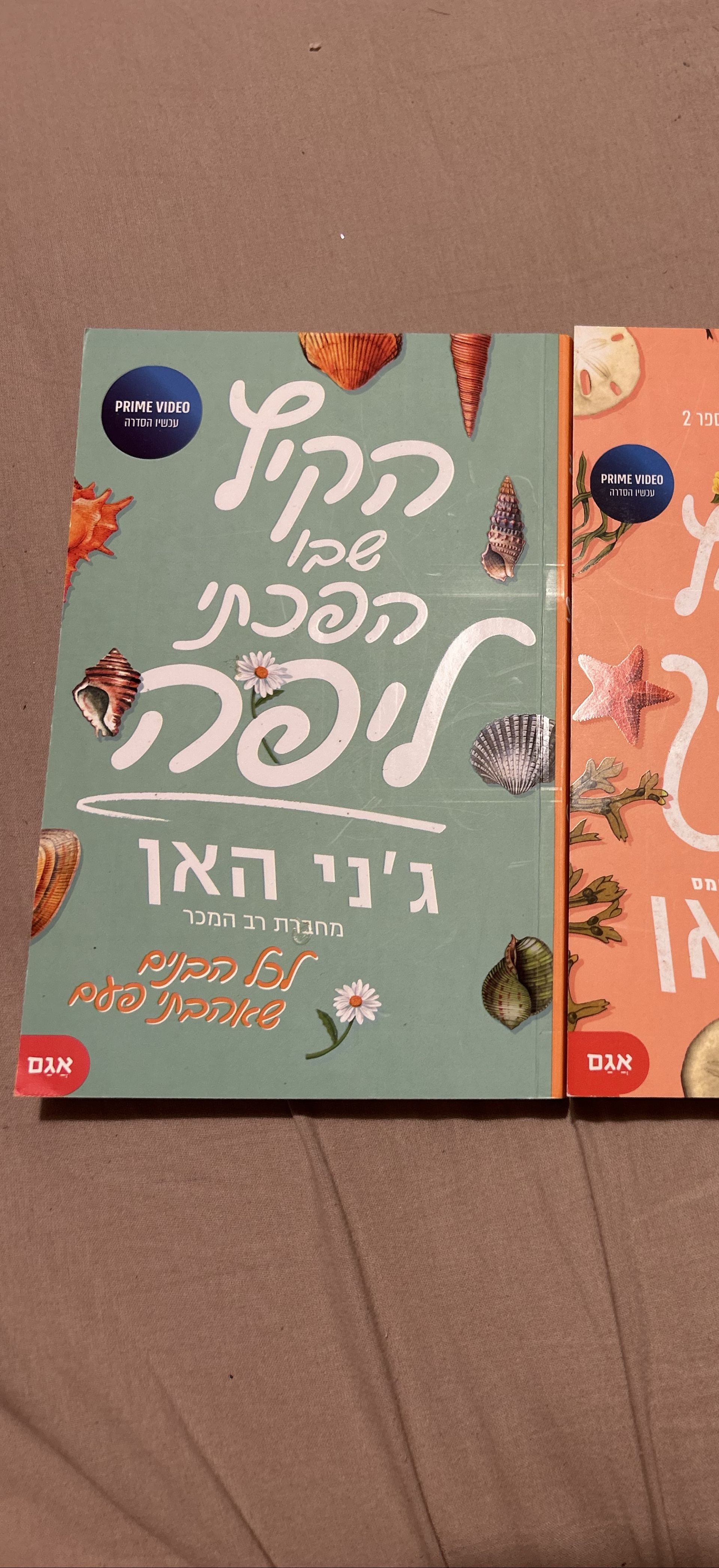 הקיץ שבו הפכתי ליפה