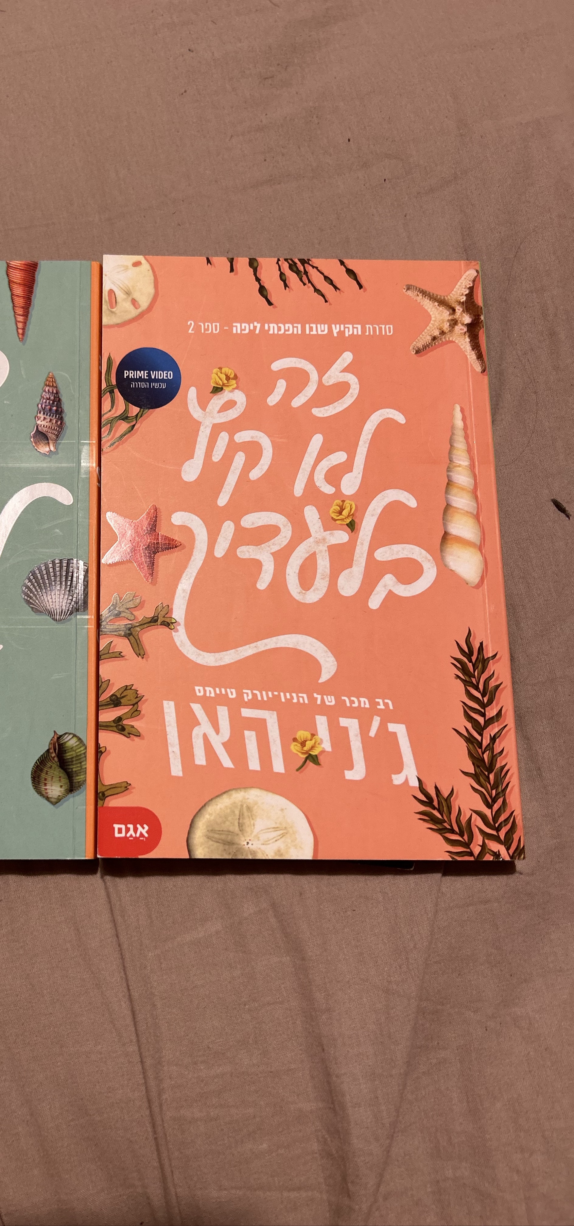 זה לא קיץ בלעדייך