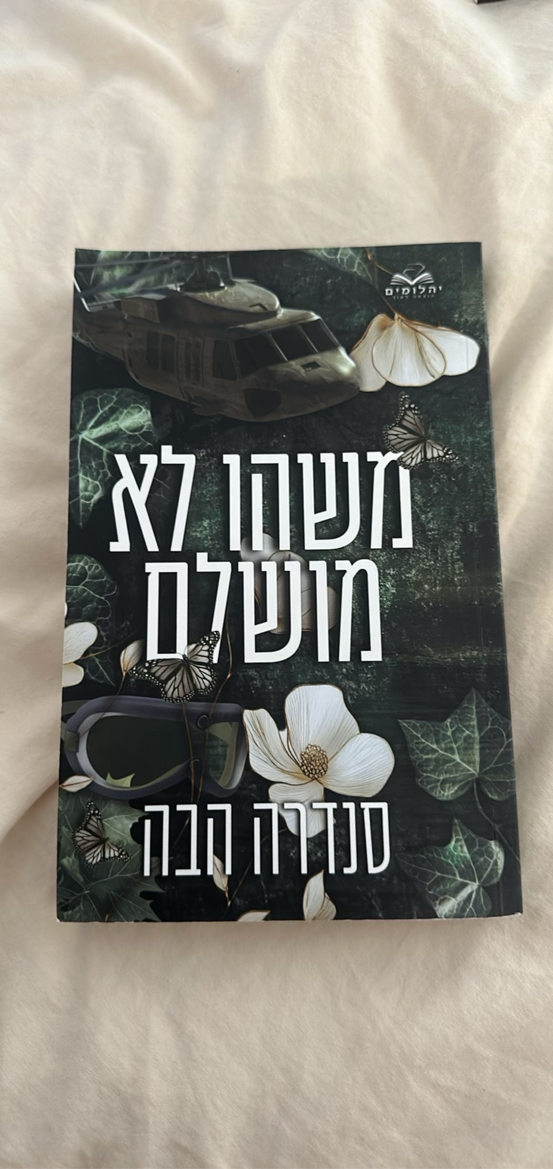 משהו לא מושלם
