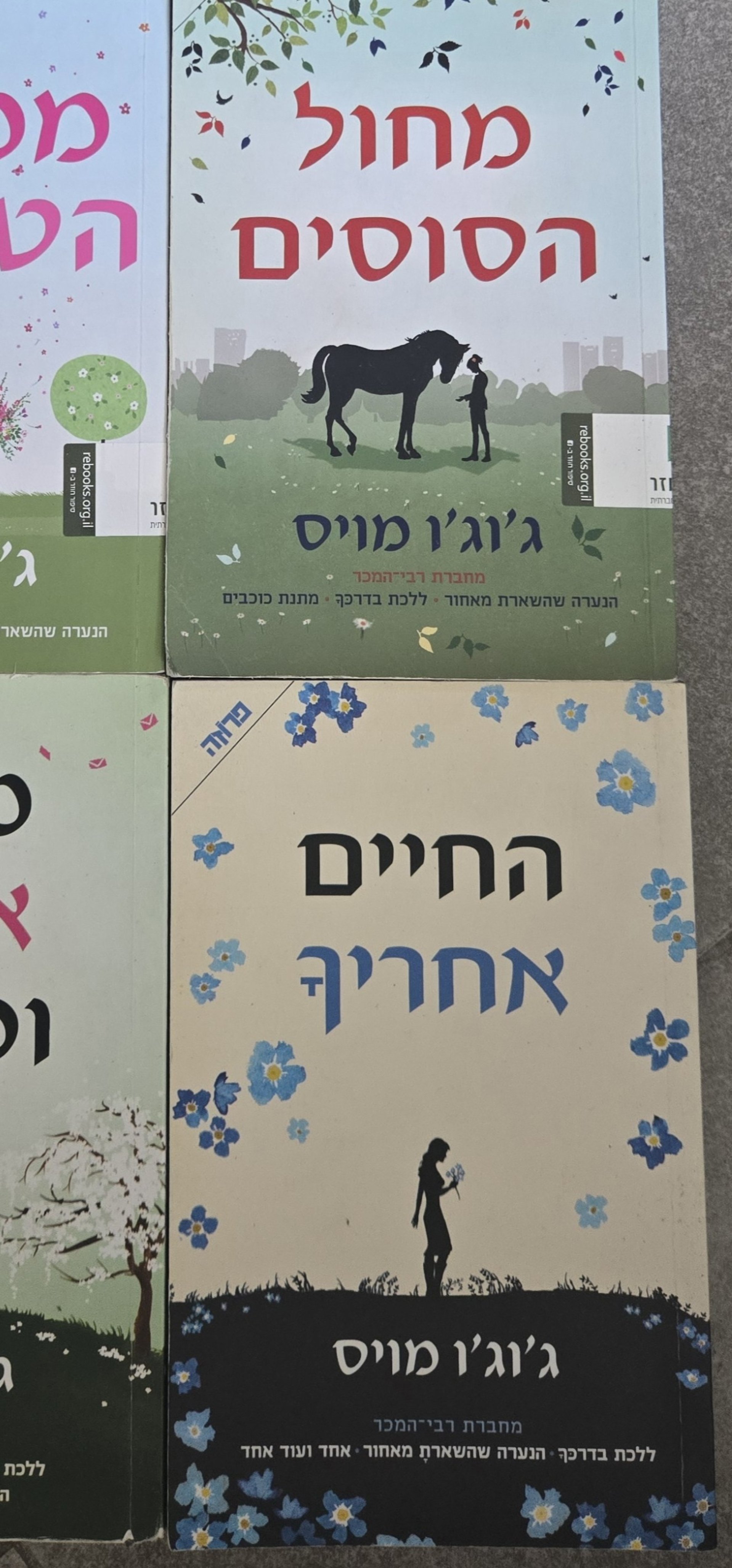 חיים אחרי חיים