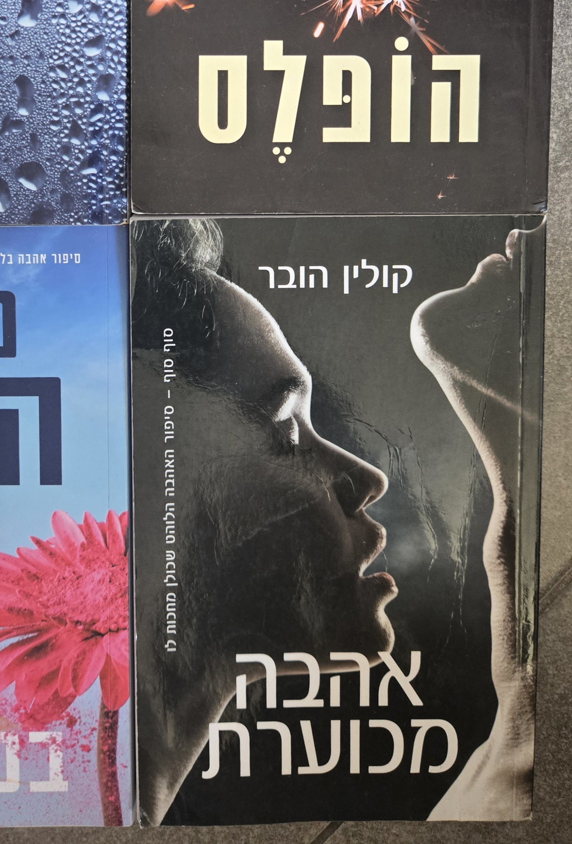 אהבה מכוערת