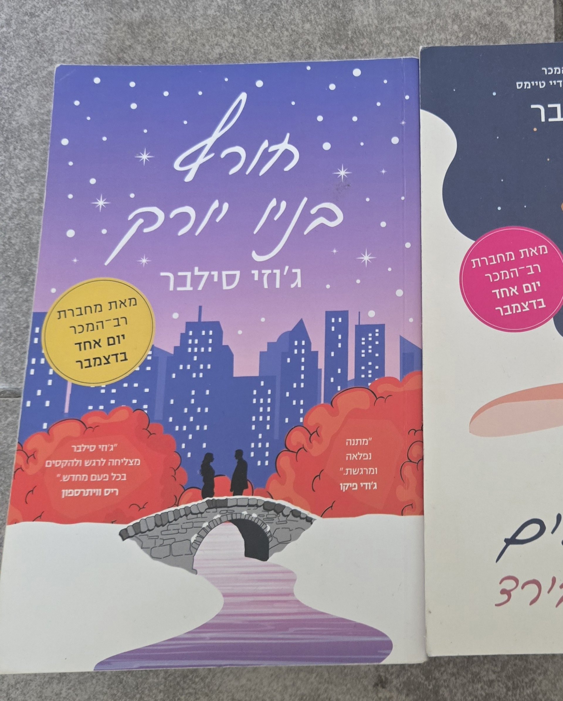 חורף בניו יורק