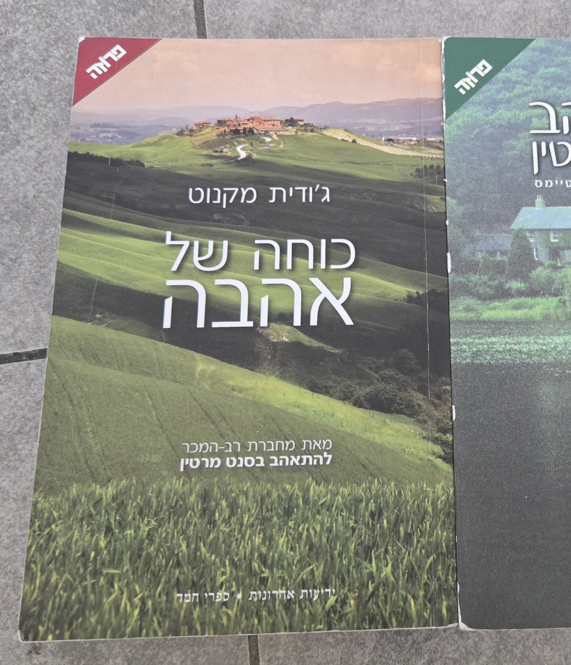 כוחה של אהבה