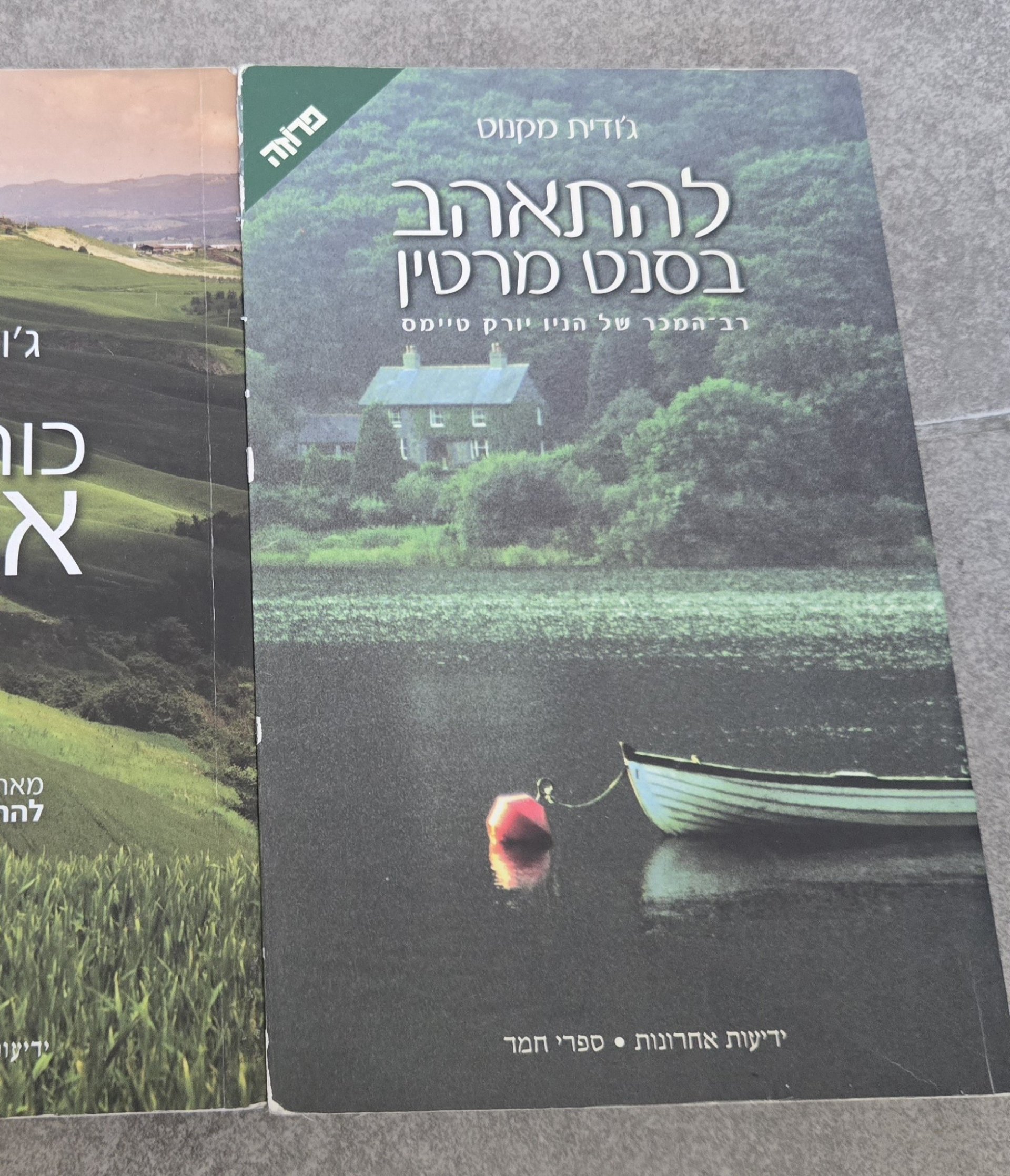 להתאהב בסנט מרטין