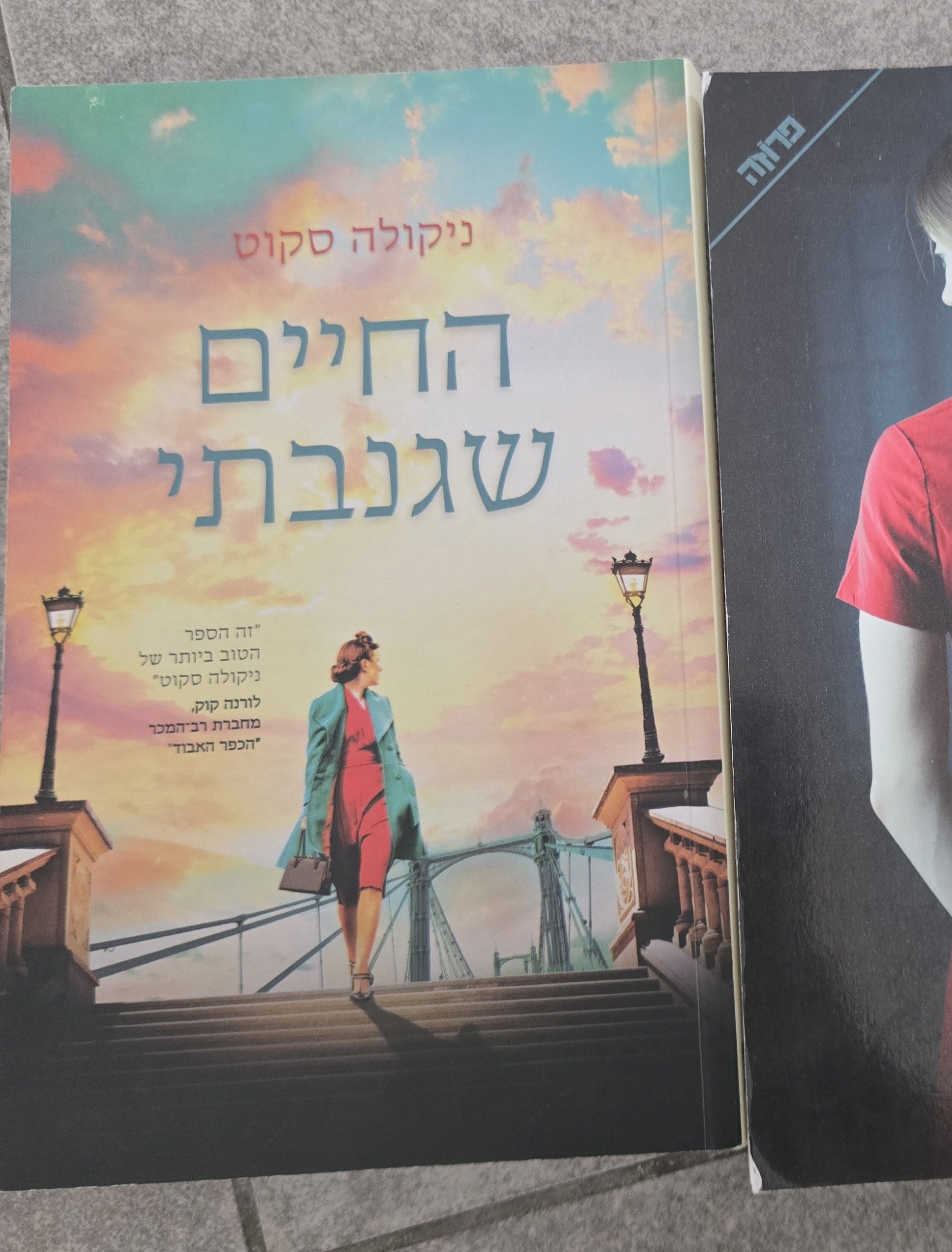 החיים שגנבתי