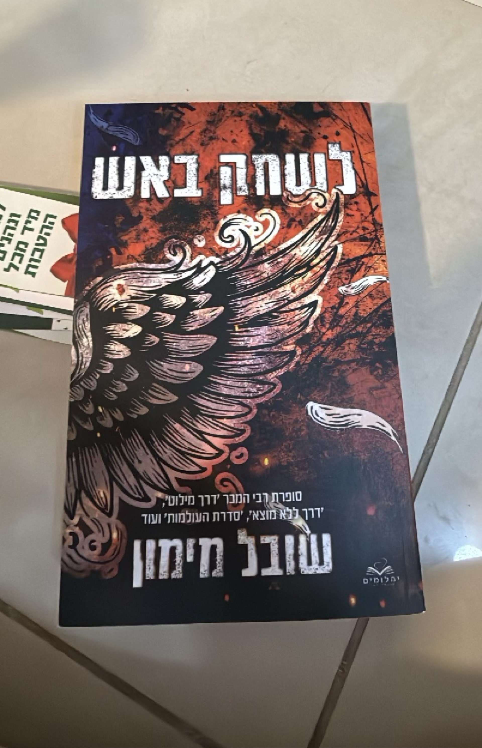 לשחק באש