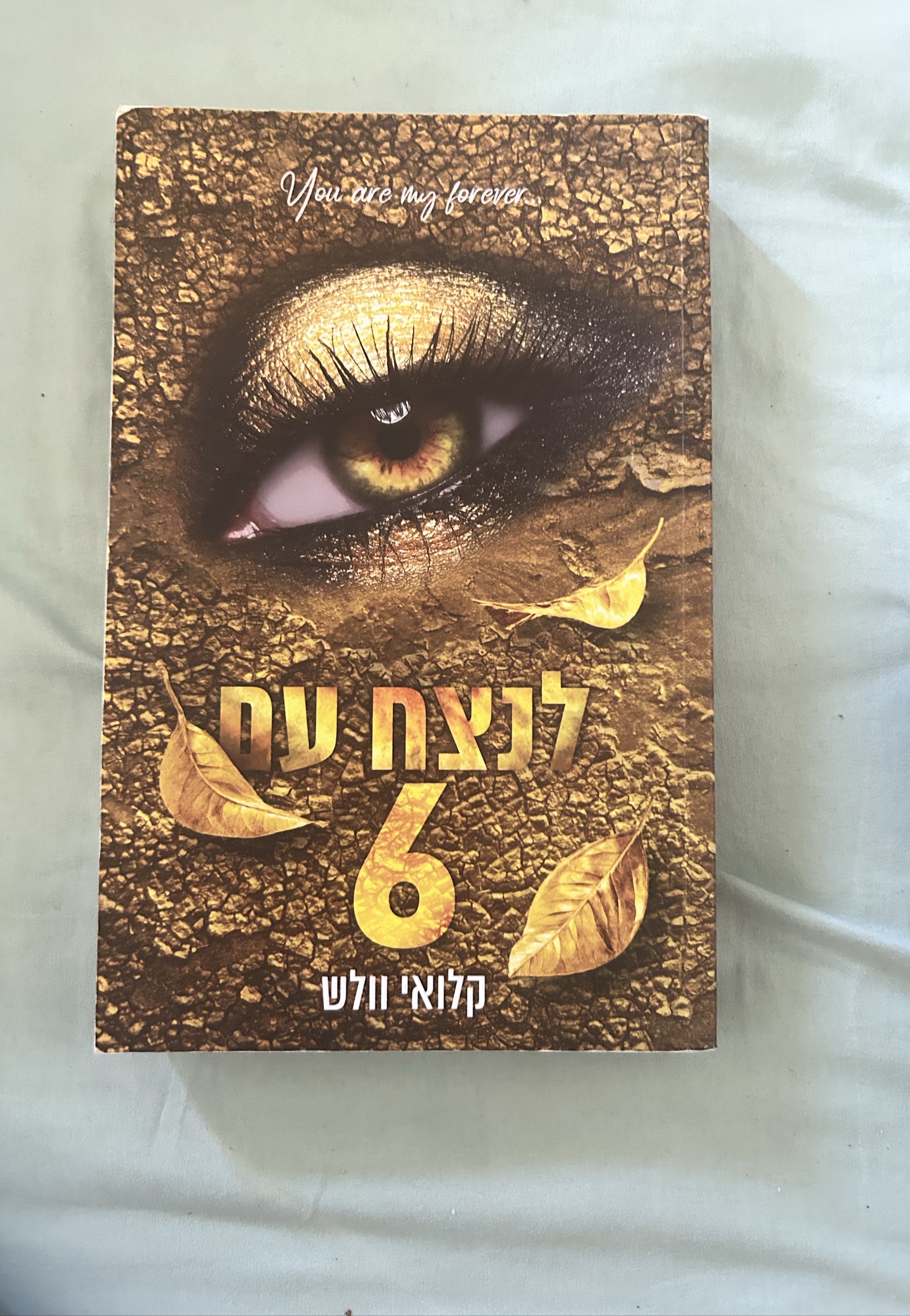 לנצח עם 6