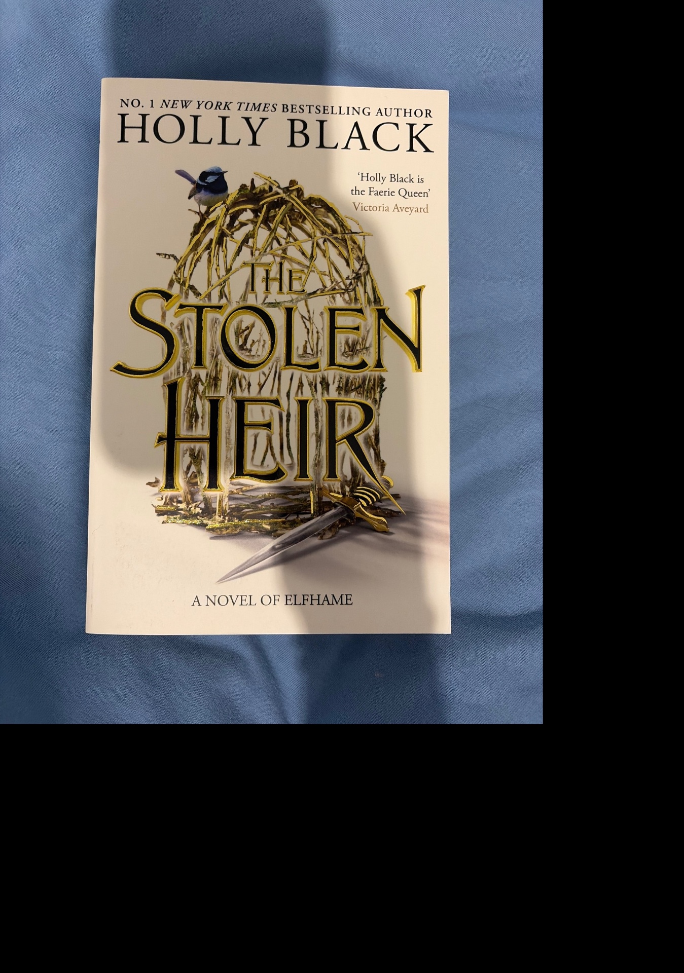 The Stolen Heir