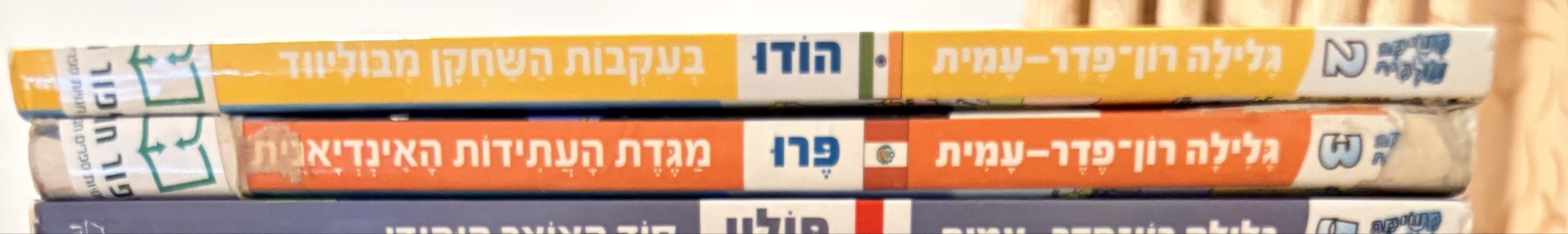 מגדת העתידות האינדיאנית