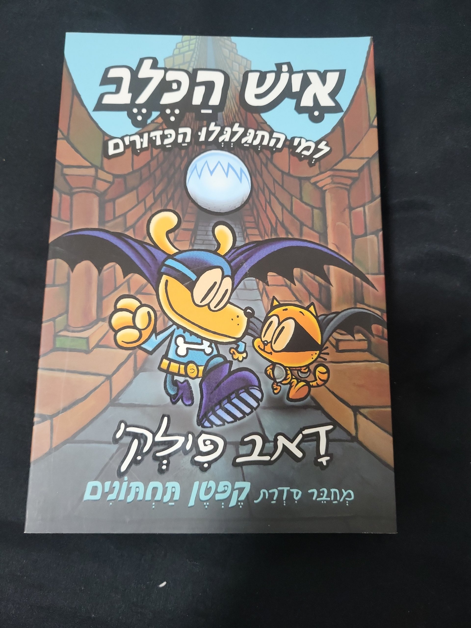 איש הכלב: מי התגלגלו הכדורים
