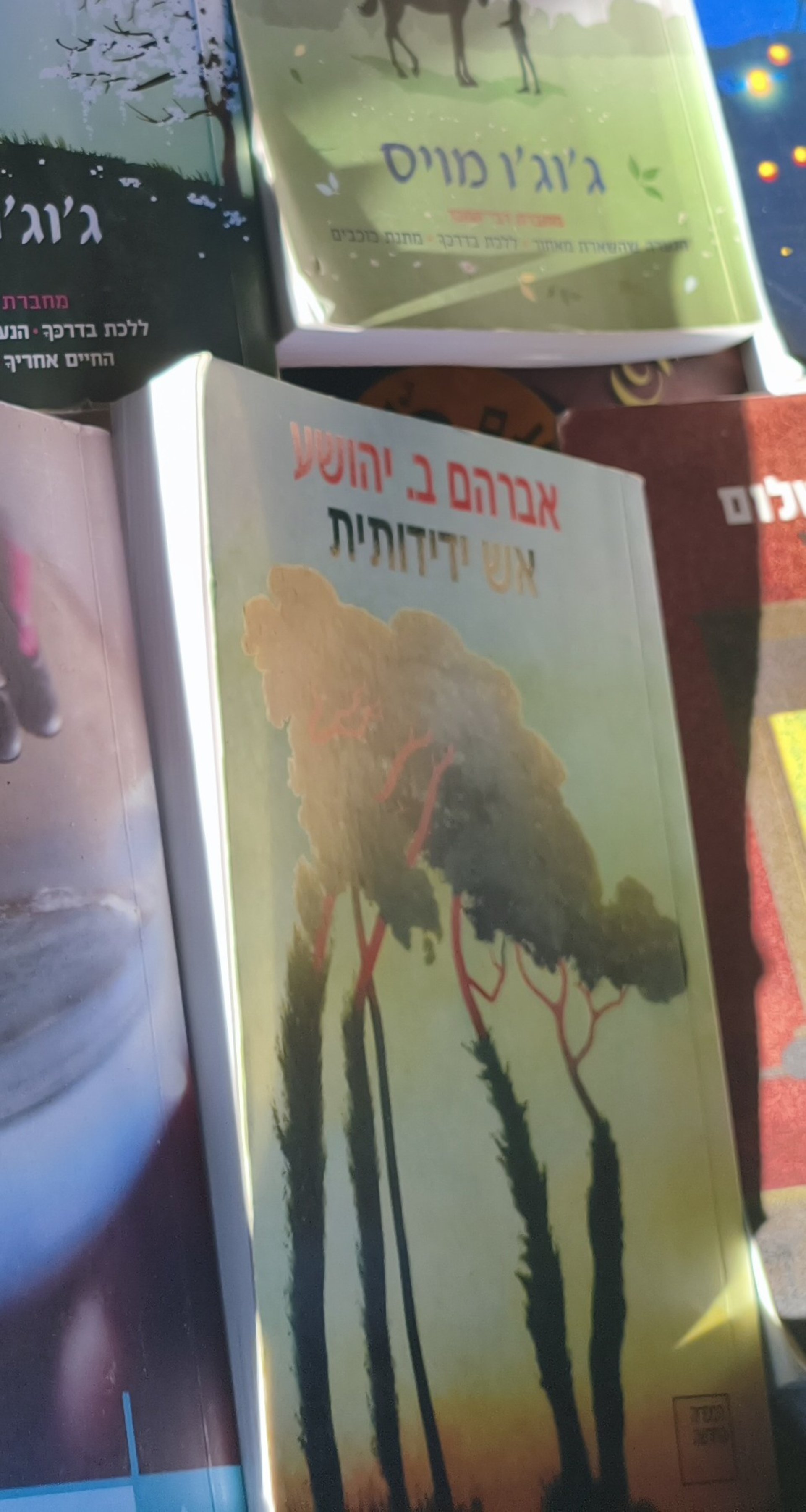 אברהם ב. יהושע: יצירות