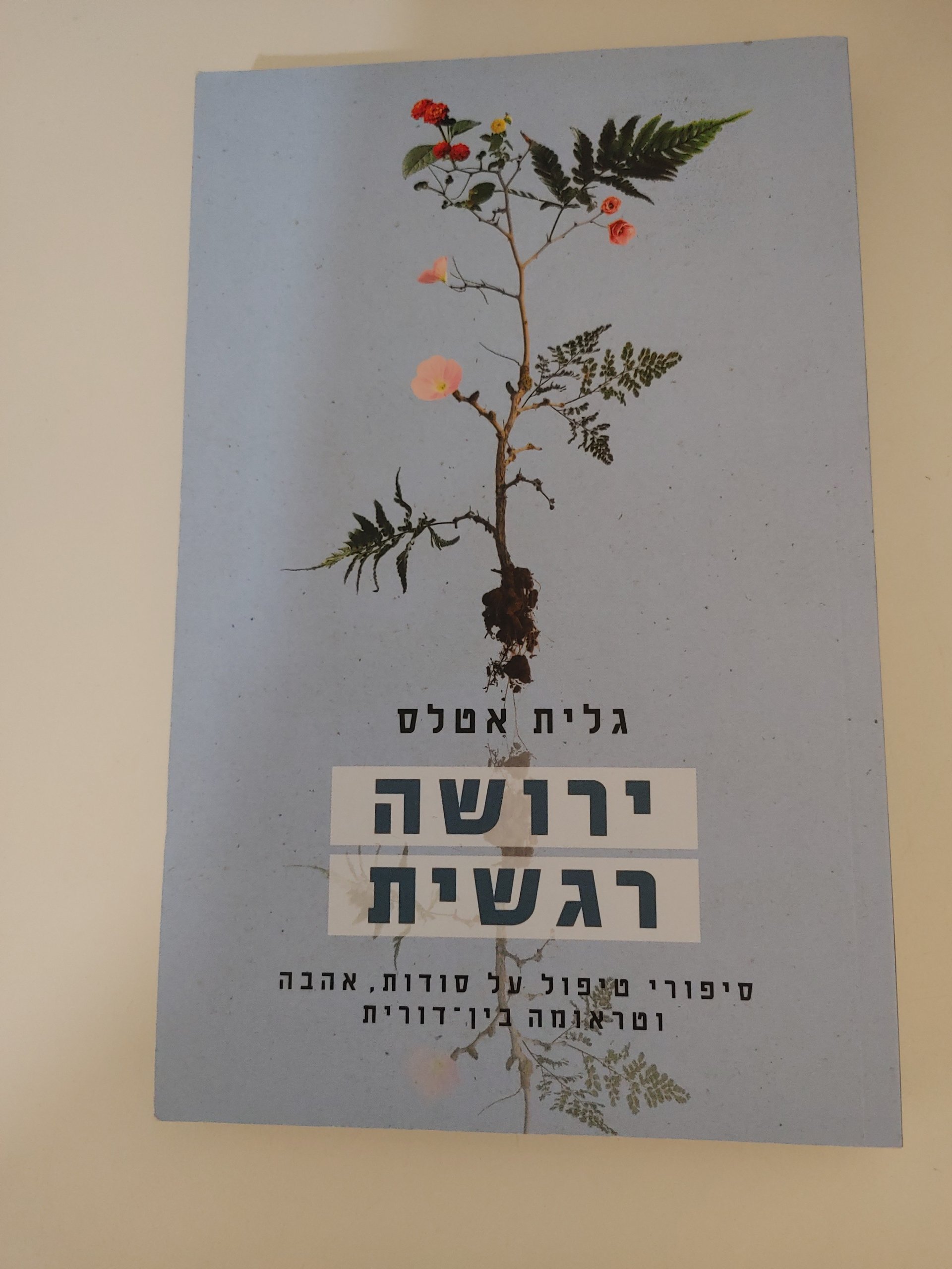 ירושה רגשית