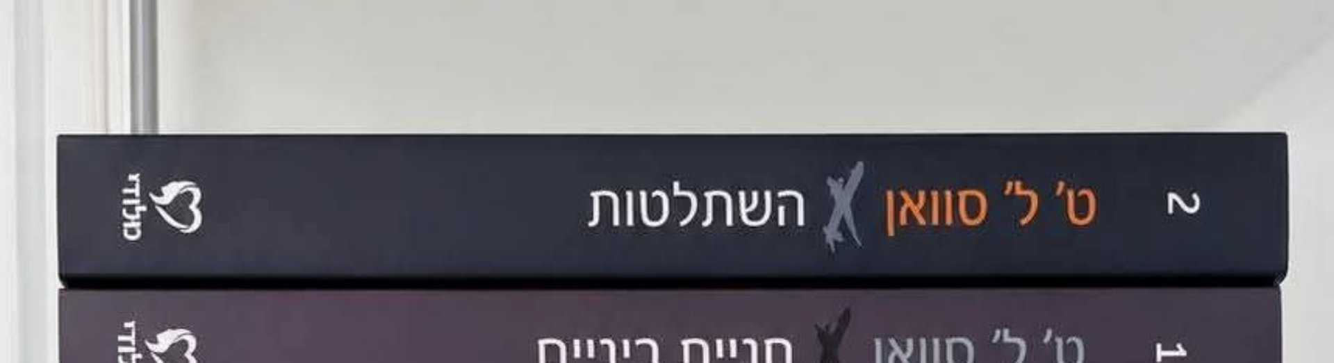 השתלטות